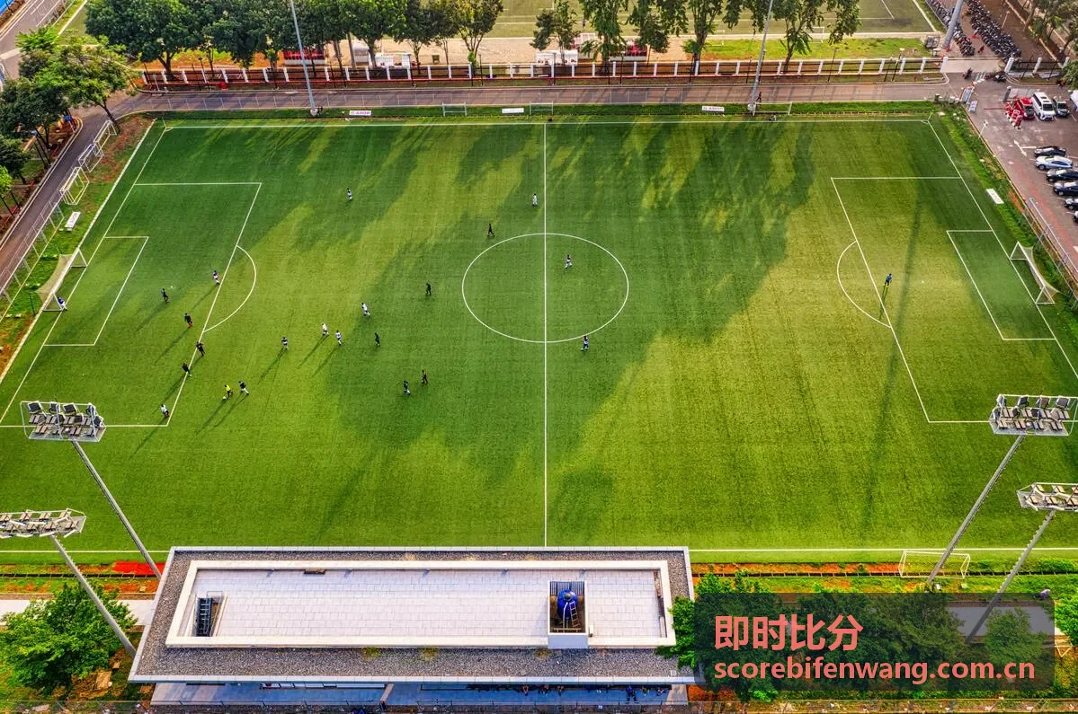 即时比分排球比赛数据画面